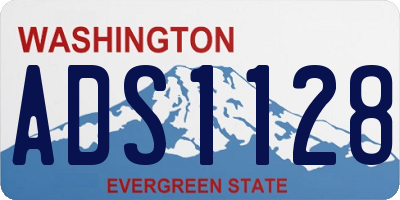 WA license plate ADS1128