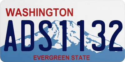WA license plate ADS1132
