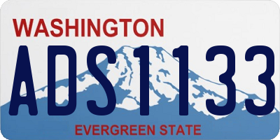 WA license plate ADS1133