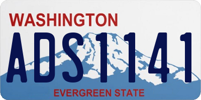 WA license plate ADS1141
