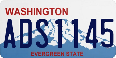 WA license plate ADS1145