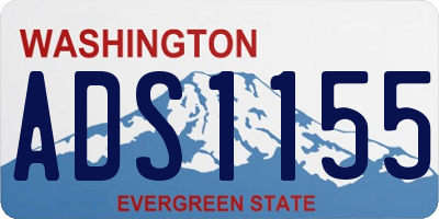 WA license plate ADS1155