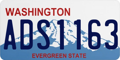 WA license plate ADS1163
