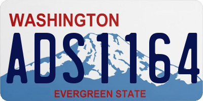 WA license plate ADS1164