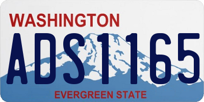 WA license plate ADS1165