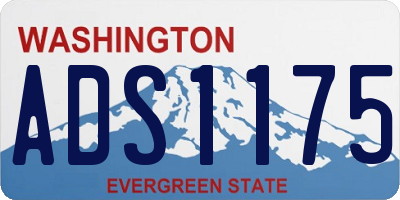 WA license plate ADS1175