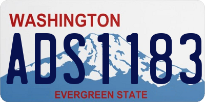 WA license plate ADS1183