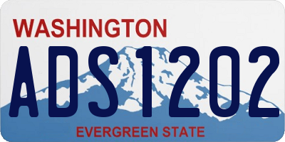 WA license plate ADS1202