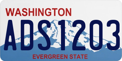 WA license plate ADS1203