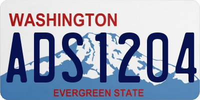 WA license plate ADS1204