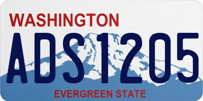 WA license plate ADS1205