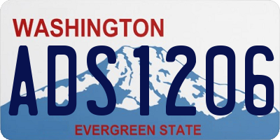 WA license plate ADS1206