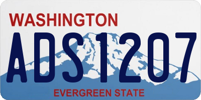 WA license plate ADS1207