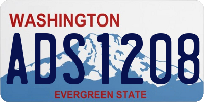 WA license plate ADS1208