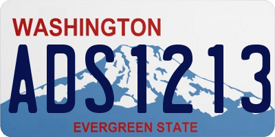 WA license plate ADS1213