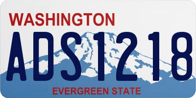 WA license plate ADS1218