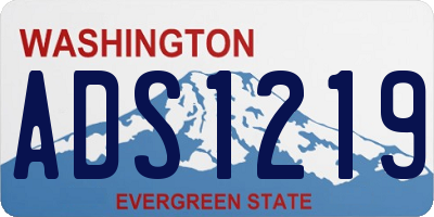 WA license plate ADS1219