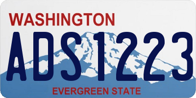 WA license plate ADS1223