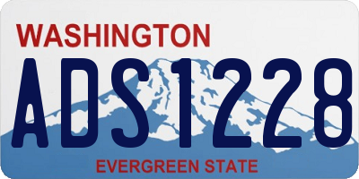 WA license plate ADS1228