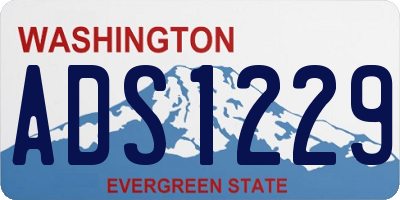 WA license plate ADS1229