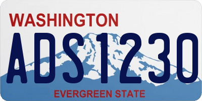 WA license plate ADS1230