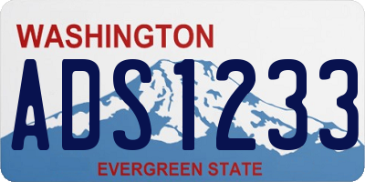 WA license plate ADS1233