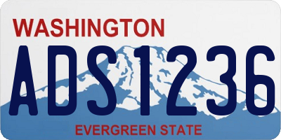 WA license plate ADS1236