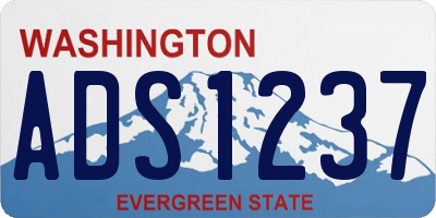 WA license plate ADS1237