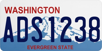 WA license plate ADS1238