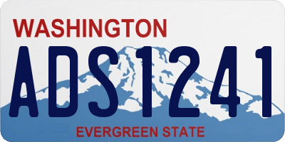 WA license plate ADS1241