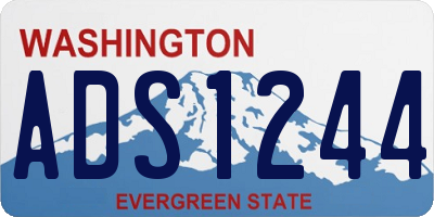 WA license plate ADS1244