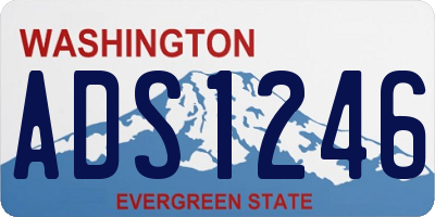 WA license plate ADS1246