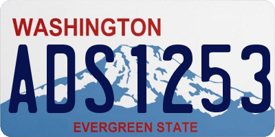 WA license plate ADS1253