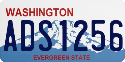 WA license plate ADS1256