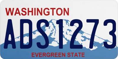 WA license plate ADS1273