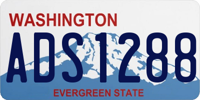 WA license plate ADS1288