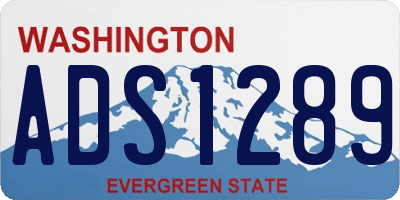 WA license plate ADS1289