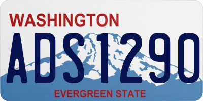 WA license plate ADS1290