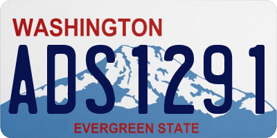WA license plate ADS1291