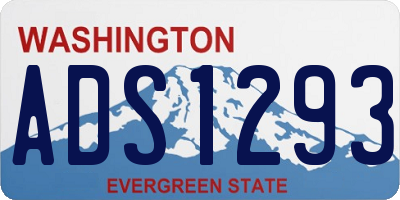 WA license plate ADS1293