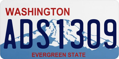 WA license plate ADS1309