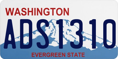 WA license plate ADS1310