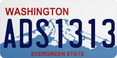 WA license plate ADS1313