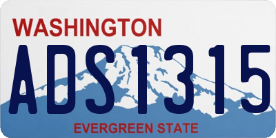 WA license plate ADS1315