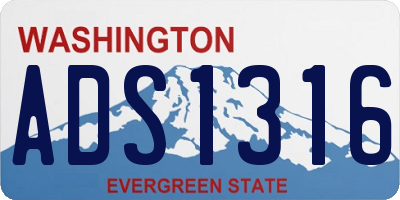 WA license plate ADS1316