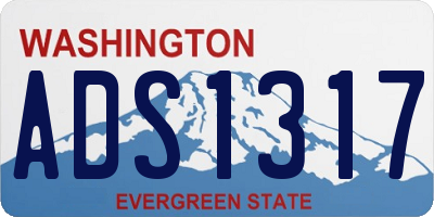 WA license plate ADS1317