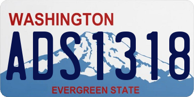 WA license plate ADS1318