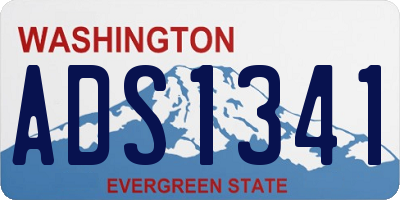 WA license plate ADS1341