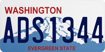 WA license plate ADS1344