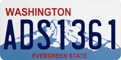 WA license plate ADS1361